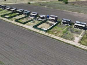 Uluabat Gölü çekildi! İşte son durum...