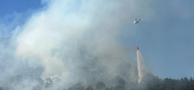 Bursa'da ormana yangını!