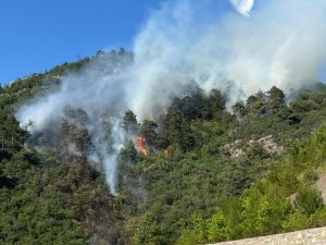 Bursa'daki orman yangınında 1 kişi gözaltına alındı