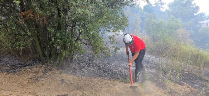 Mudanya’da alevler kontrol altına alındı
