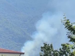 Kestel’de orman yangını