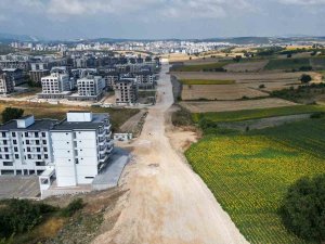 Biba'dan yol çalışmalarına inceleme