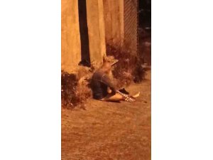 Pompalı Tüfekle Dehşet Saçtı: 1 Yaralı