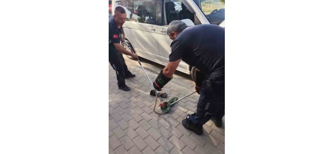Minibüsün Motorundan Yılan Çıktı!