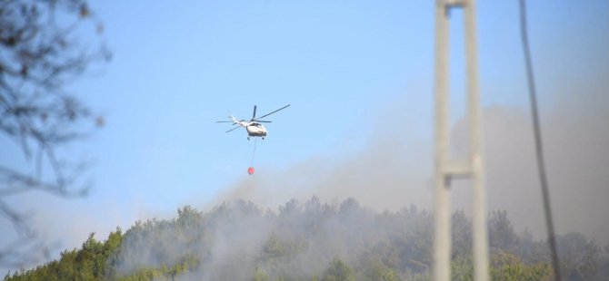 Altınoluk’taki yangın kontrol altına alındı, Gömeç'e müdahale sürüyor