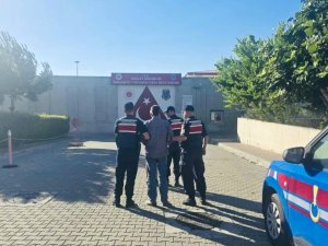 Gömeç yangına ilişkin 2 kişi tutuklama!