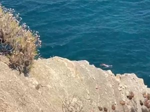Bursa’da denize doğru heyelan!