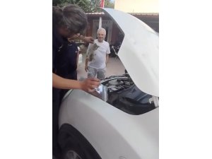 Yalova'da minik kedinin yardımına itfaiye yetişti