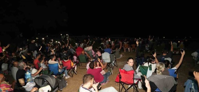 Kuruyan deredeki yavru balıklar için seferber oldu