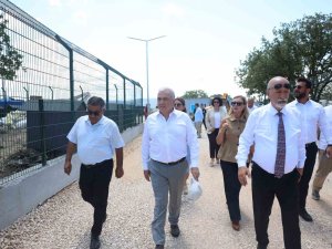 Nilüfer’de sahipsiz hayvanlar için yeni yuva