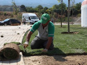Dostum kamp alanında çalışmalar sürüyor