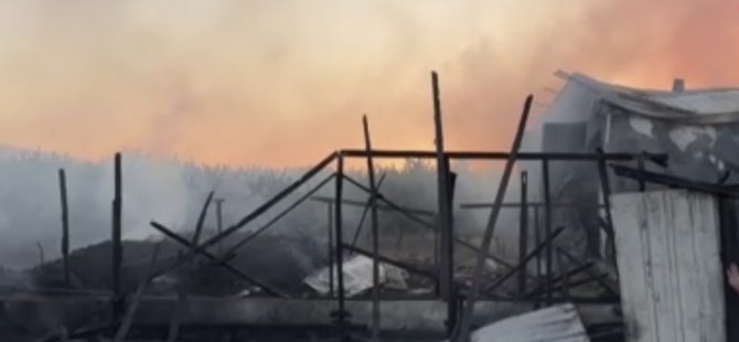 Bursa’da çiftlik alev alev yandı!