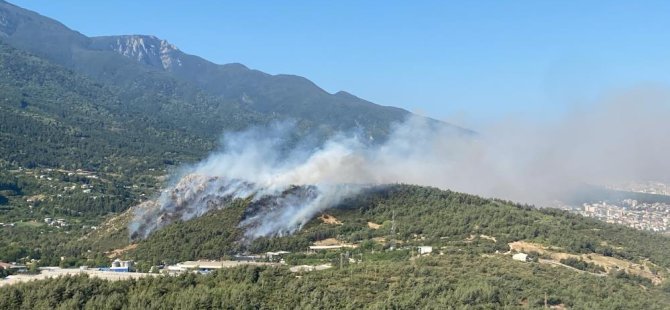 Uludağ eteklerinde yangın! Aynı anda 3 noktada başladı