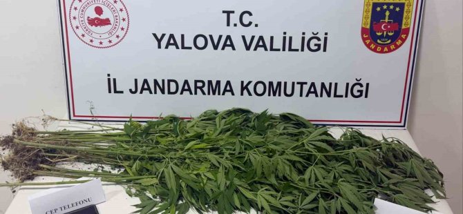 Yalova’da uyuşturucu operasyonu: 3 gözaltı