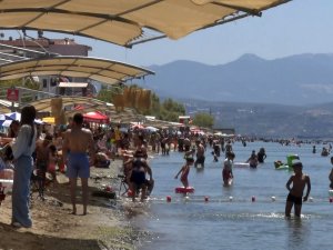 Bursa sahillerinden sevindiren haber