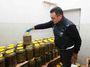 Osmangazi’de 6,5 Ton Küflü Gıda İmha Edildi