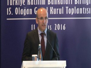 Şimşek: Mega bank açacağız