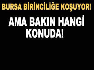 Bursa'ya yakışmıyor!