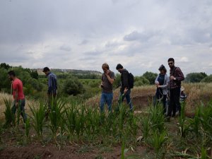 UNESCO Kültür Mirası'na uyuşturucu ektiler