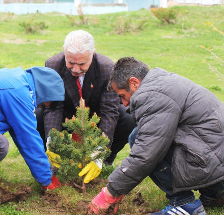 ESKİ, su havzasına 3 bin fidan dikti