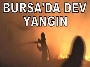 Bursa'da dev yangın...