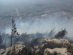 Hatay’da orman yangını