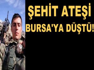 Şehit ateşi Bursa'ya düştü!