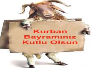 Bayramınız kutlu olsun...