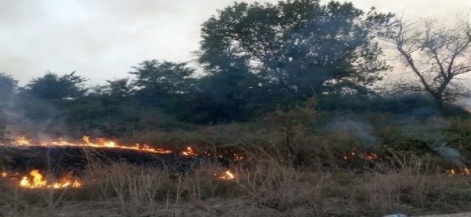 Marmaris’teki yangına 7 uçak, 17 helikopter ve 46 arazözle müdahale