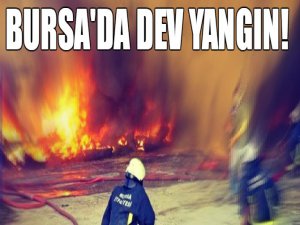 Bursa'da dev yangın