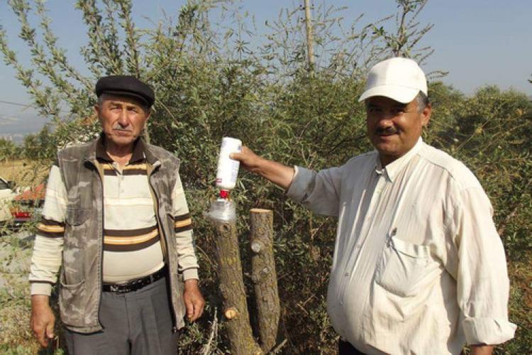 Dağ taş demeden dolaşıp çöğür ağaçlarına armut aşılıyorlar