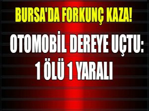 Bursa'da otomobil dereye uçtu