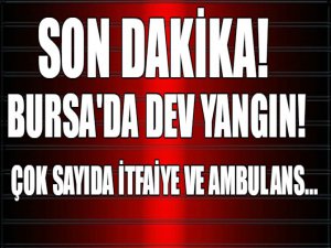 Son dakika! Bursa'da dev yangın!