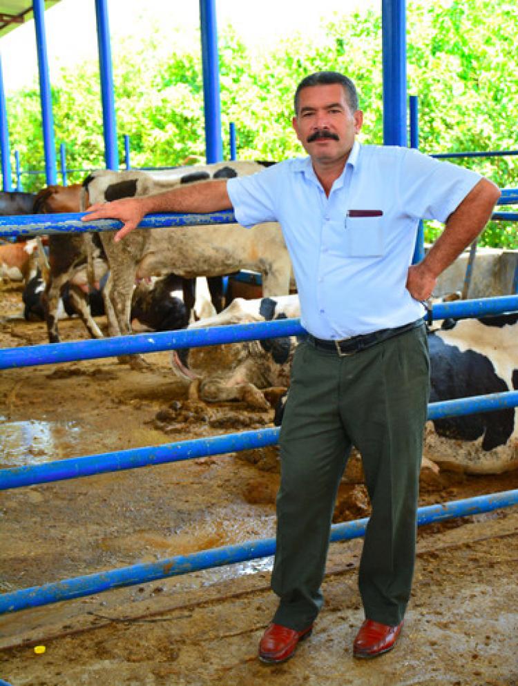 Hayvan küpeleme 10 TL’ye yükseldi