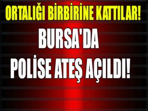 Bursa'da ortalığı birbirine kattılar