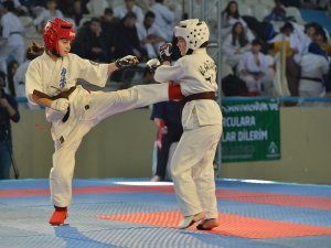 Yıldırım'da karate şampiyonası