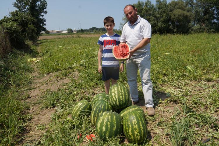 35 kiloluk karpuzlar elde kaldı