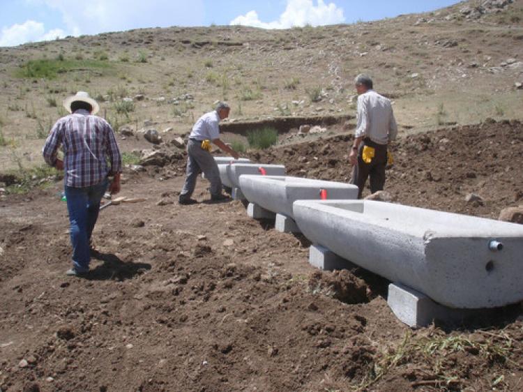 DAP Başkanlığı, beton hayvan sulağı dağıtımına başladı