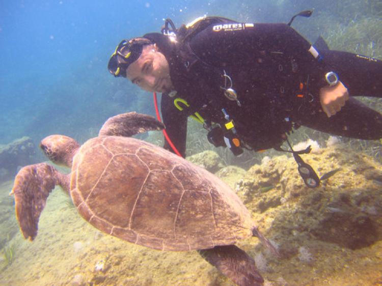 Dalgıçlar, turistlere deniz kaplumbağası gösterememekten dert yanıyor