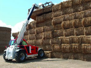 Teleskopik forklift görücüye çıktı