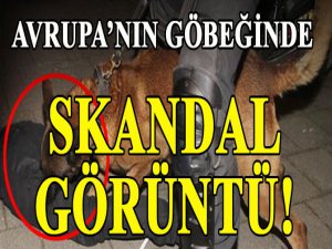 Avrupa'nın göbeğinde...