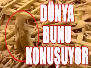 Dünya bunu konuşuyor