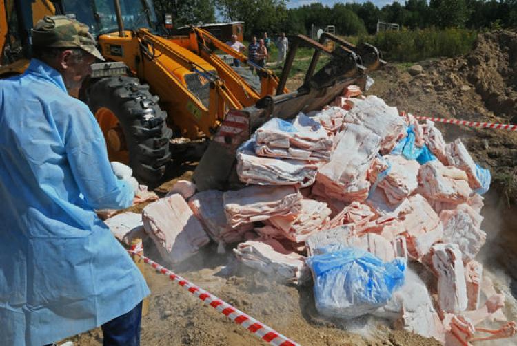"İmhadan başka çaremiz yok"