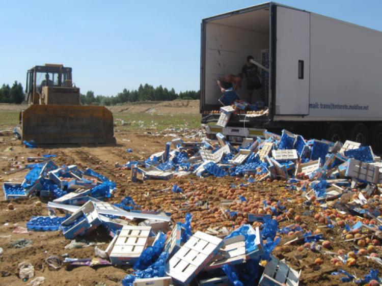 Rusya 3 ton meyveyi imha etti