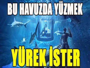 Bu havuzda yüzmek yürek ister