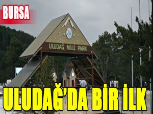 Uludağ'da Yeni dönem