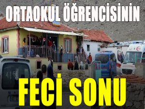 Ortaokul öğrencisi