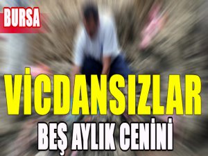 Vicdansızlar