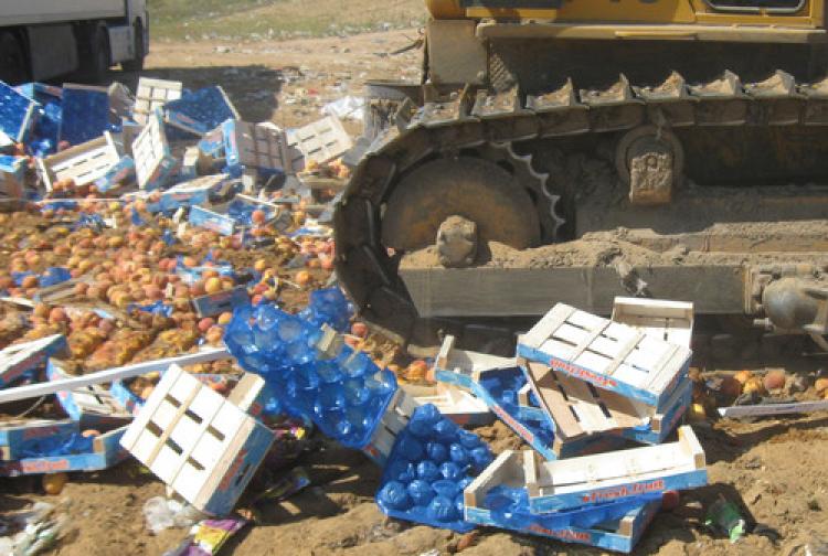 Rusya halkı ambargolu ürünlerin imhasına karşı