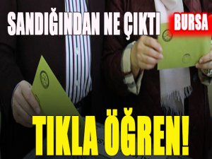 Referandum sonuçları